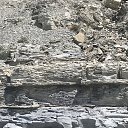 ���� Ryzhik, ����, 53 ���� - ��������� 23 ������� 2023 � ������ ���� ����������