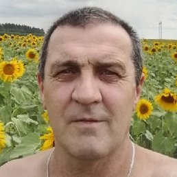 �������, ������, 37 ���