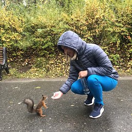 ���� �����, ������������, 40 ��� - ��������� 17 �������� 2023