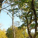 ���� �����, �����������, 58 ��� - ��������� 10 ������� 2023 � ������ ���� ����������