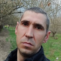 �������, �������, 40 ���