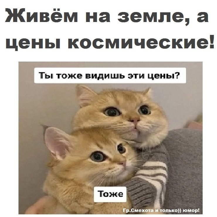  - 19  2023  17:59