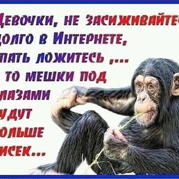 ���� ���, ������������, 49 ��� - ��������� 30 ���� 2023