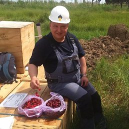 ������, ����, 54 ����