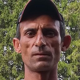 �����, ������, 41 ���