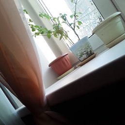 ���� M, ������, 42 ���� - ��������� 21 ������� 2023