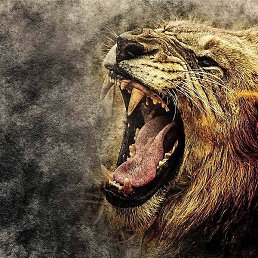 �����, ������, 28 ���