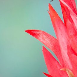 ����, ���, 46 ���