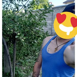 �������, ����� (�������), 28 ���