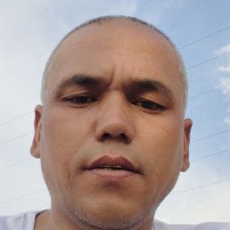 �����������, �������, 41 ���