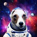 ���� ���������, �������, 60 ��� - ��������� 12 ��� 2023