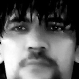 ���� Amur Temur, ������, 38 ��� - ��������� 14 ������� 2023