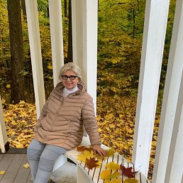 ���� ����, ������, 68 ��� - ��������� 21 ������� 2023