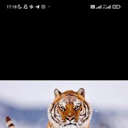 ���� Urinboy, ������, 45 ��� - ��������� 11 ���� 2023