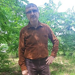 ������, �������, 68 ���