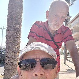 �����, ���������, 88 ���