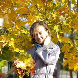 ���� ��������, ������������, 49 ��� - ��������� 5 ������� 2023