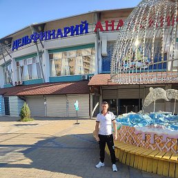 �����, ������, 44 ����