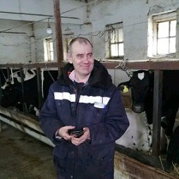 ���� �������, ��������, 56 ��� - ��������� 8 ����� 2023