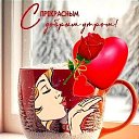 ���� �������, �����-���������, 72 ���� - ��������� 12 �������� 2023