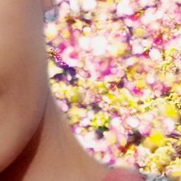 ��������, ������������, 40 ���