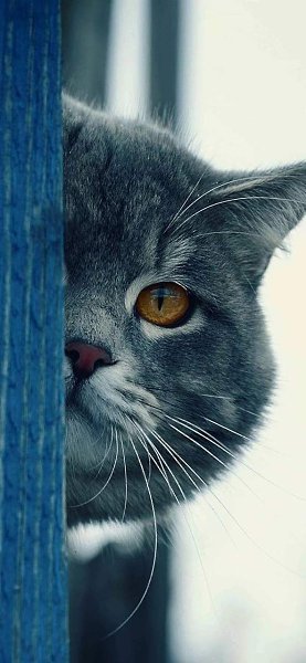 ... Некоторые не будут любить вас как бы вы не старались. А некоторые не перестанут вас любить, ...