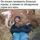 ���� ��������, ������-��-����, 65 ��� - ��������� 12 ���� 2023 � ������ ������ ��������