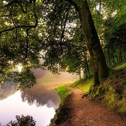 �����, �������, 49 ���