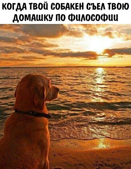   - 9  2023  23:37
