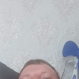 ����, �����������, 38 ���