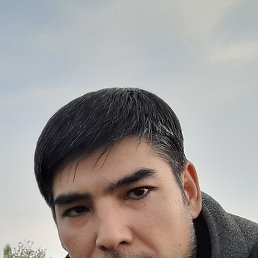 ���������, �����, 43 ����