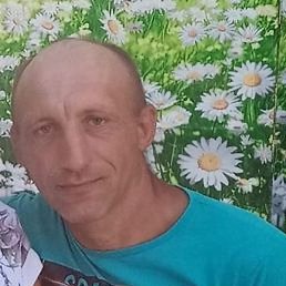 �������, ������, 39 ���