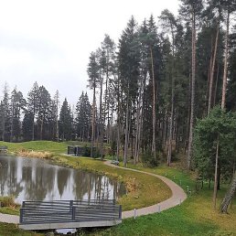 Jasur, �������, 29 ���