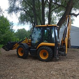 ������, ������, 51 ���