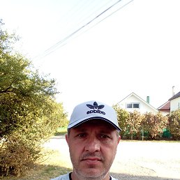 ������, ����, 51 ���