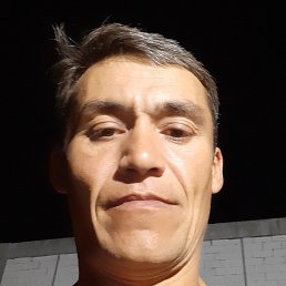 �����, ���������, 46 ���