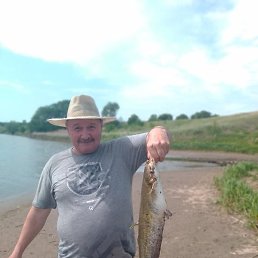 �����, ��������, 61 ���