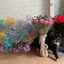 ���� �����, ���������, 54 ���� - ��������� 7 ������ 2023 � ������ ���� ����������