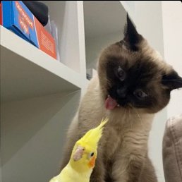 Фото Эльмира, Махачкала, 26 лет - добавлено 14 октября 2023