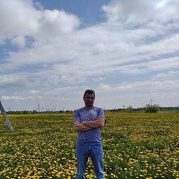 ������, ����, 43 ����