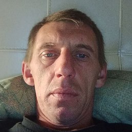 ������, �������, 41 ���