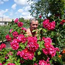 ���� ����, ������������, 69 ��� - ��������� 27 �������� 2023