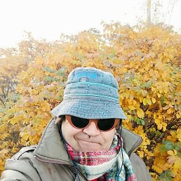 ����, ������, 61 ���