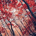 ���� �����, �����, 55 ��� - ��������� 14 ������� 2023 � ������ ���� ����������
