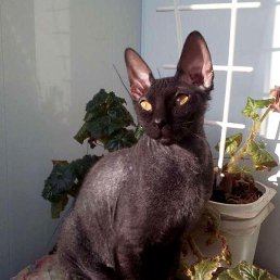 ���� �������, ��������, 64 ���� - ��������� 25 ������� 2023