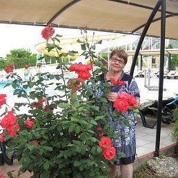 �������, ������������, 68 ���