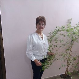 ���� ���������, ���������, 71 ��� - ��������� 5 ����� 2023