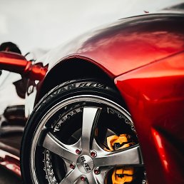 �������, ���������, 36 ���