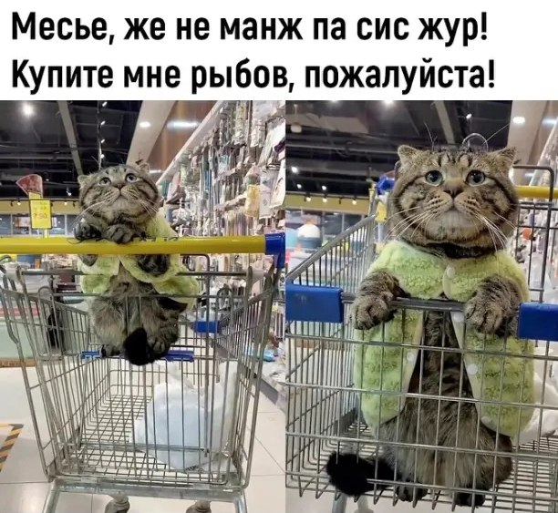 ~~~~~~~~~~~~~~~~~~~~~~~~