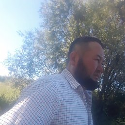 ������, ������, 41 ���